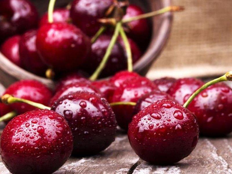 Вишня купить саженцы из питомника в Серпухове
